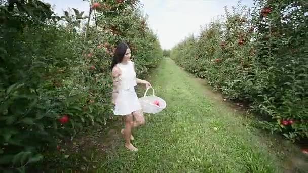 Een mooi meisje gaat, en kijkt naar de plantage, op een zonnige dag. Concept: bio producten, natuurlijke producten, verse, heerlijke, fruit, groenten, groeien, water, planten, fotosynthese — Stockvideo