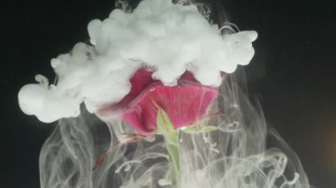 Mürekkep soyut siyah arka plan üzerine çiçek