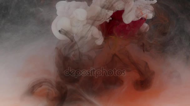 Дивовижний атмосферний знімок красивої троянди, що змішується з чорнилом у воді — стокове відео