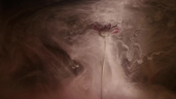 Blomma med bläck abstrakt bakgrund — Stockvideo