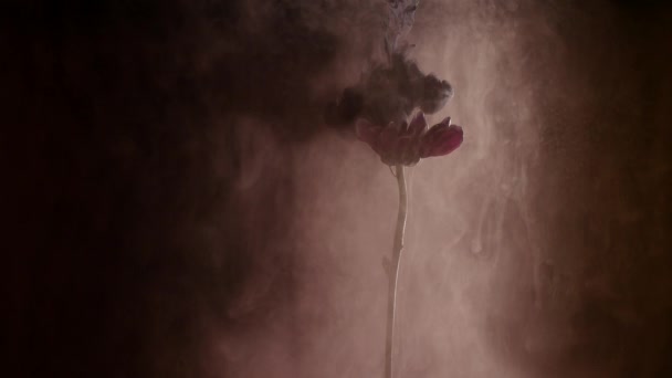 Fleur avec fond abstrait encre 