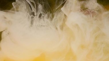 Suda ıslatın ve bir çiçek mürekkep. Çok renkli mürekkep güzel çiçekleri suya batırılır düşüyor