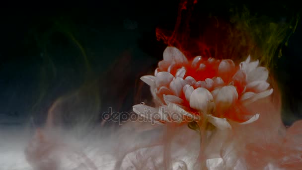 Hübsche Blume mit buntem Tuschegemisch — Stockvideo