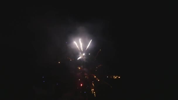 Fuegos artificiales. Celebración festiva. Fuegos artificiales coloridos en la noche de vacaciones — Vídeo de stock