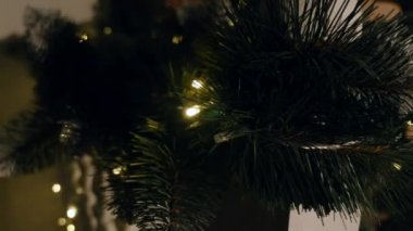 Noel süslemeleri dallarda köknar