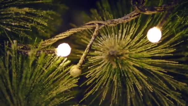 圣诞圣诞树上的圣诞舞会关门了选择性焦点 — 图库视频影像