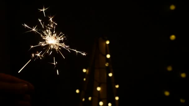 Fogos de artifício sparkler queimando com luzes no fundo — Vídeo de Stock
