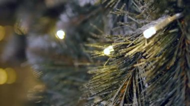 Noel süslemeleri dallarda köknar