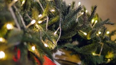 Noel süslemeleri dallarda köknar