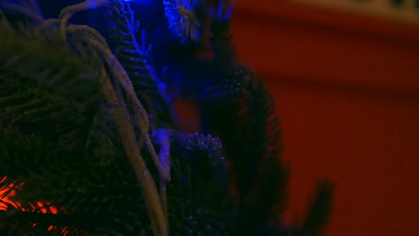 Décorations de Noël sur les branches sapin