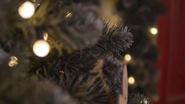 Vánoční ozdoby na větvích jedle — Stock video