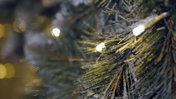 Décorations de Noël sur les branches sapin