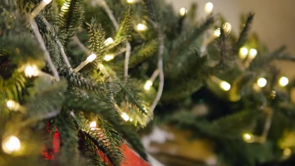 Рождественские украшения на ветвях ели — стоковое видео