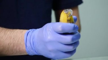 A mans el bir prezervatif bir muz üzerinde koyarak. Güvenli seks ve cinsel yolla bulaşan hastalıklardan korunma