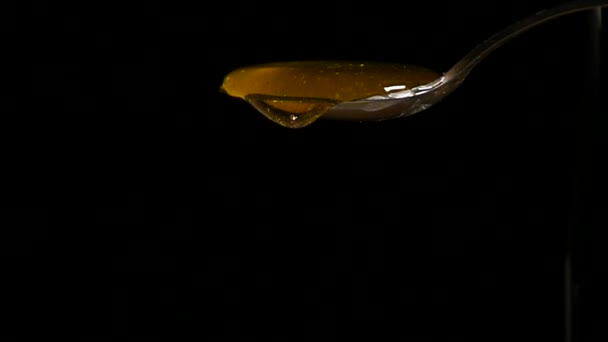 Honey Flowing from Spoon against Black Background — Stock Video