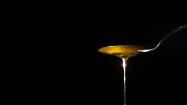 Μέλι που ρέει από το κουτάλι μαύρο φόντο — Αρχείο Βίντεο