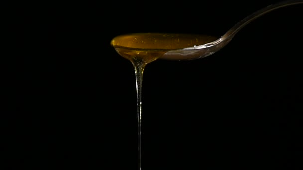 Honey Flowing from Spoon against Black Background — Stock Video