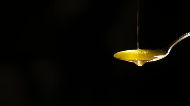 黒い背景にステンレス ティー スプーンから滴る蜂蜜 — ストック動画