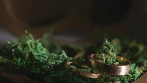 Dos anillos de boda en caja de madera. de cerca — Vídeos de Stock