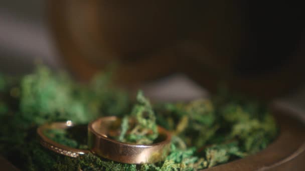 나무 상자에 두 개의 결혼 반지입니다. 클로즈업 — 비디오