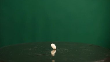 Yeşil zemin üzerine atlama fasulye üzerinde hareket Subwoofer