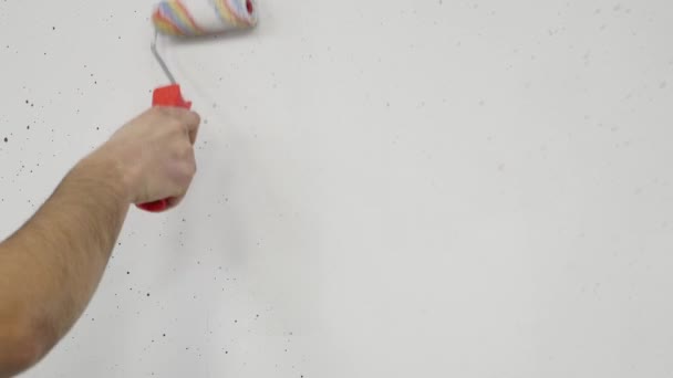 Vista de cerca de las manos de hombres y mujeres pintando la pared usando rodillos de pintura — Vídeo de stock