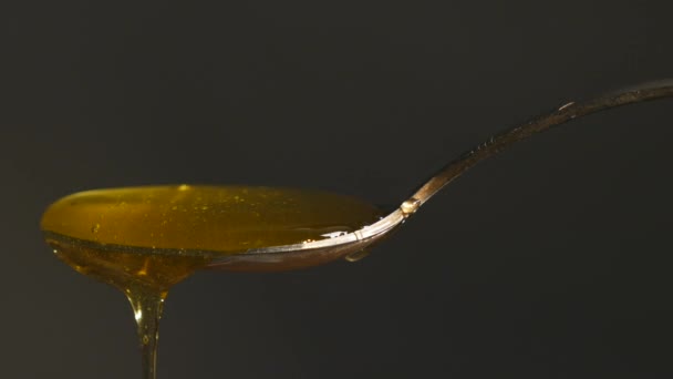 Miele che scorre dal cucchiaio sullo sfondo nero — Video Stock