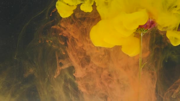 Nature abstraite avec des nuages de fleurs et d'encre sur fond noir 