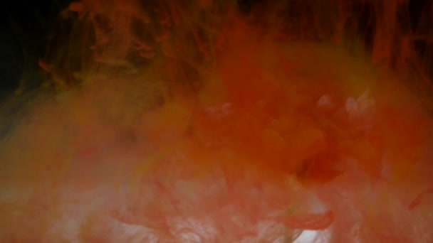 Jolie fleur avec mélange coloré d'encre — Video
