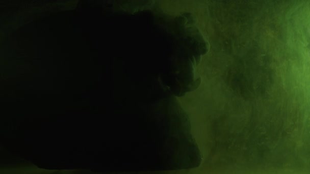 Tinta de color en el agua con cráneo sobre fondo negro — Vídeos de Stock