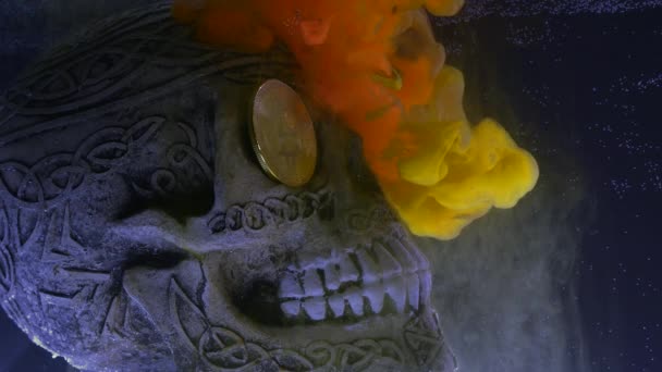Crânio em um aquário e bitcoin moeda com tinta amarela — Vídeo de Stock