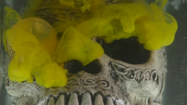 Череп в аквариуме и монета биткойн с желтыми чернилами — стоковое видео