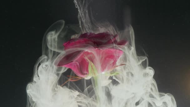 Abstrakte Natur mit Blüten- und Tuschewolken — Stockvideo