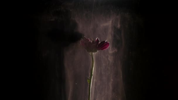 Soyut doğa çiçek ve mürekkep bulutlar ile — Stok video