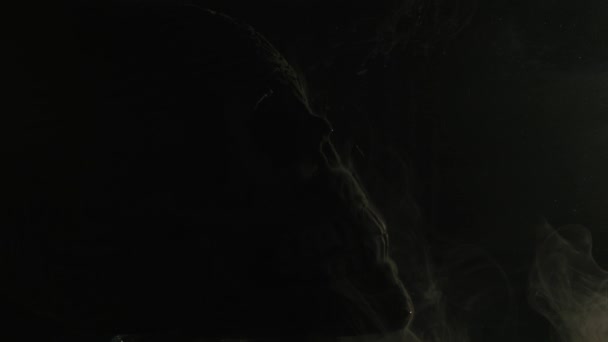 Schwarze Tinte im Wasser mit Totenkopf auf schwarzem Hintergrund — Stockvideo
