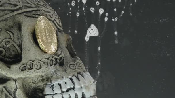 Череп в аквариуме с монетой биткойн — стоковое видео