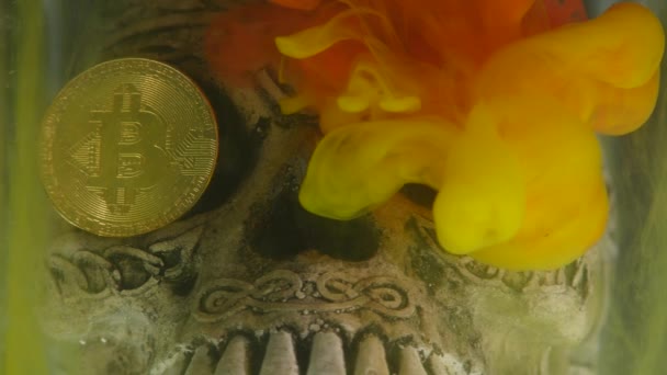 头骨在水族馆和硬币比特币与黄色和红色墨水 — 图库视频影像