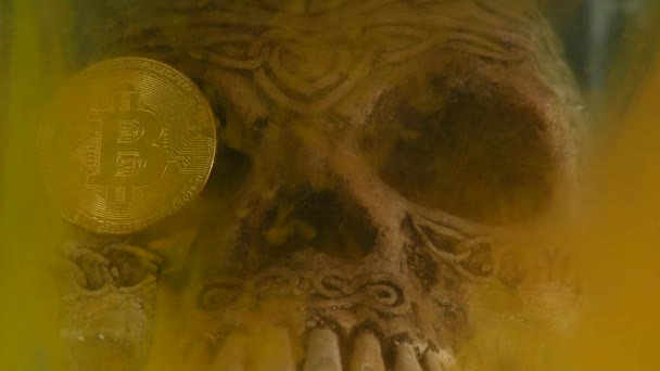 Skull in an aquarium and coin bitcoin with yellow ink — Stock Video