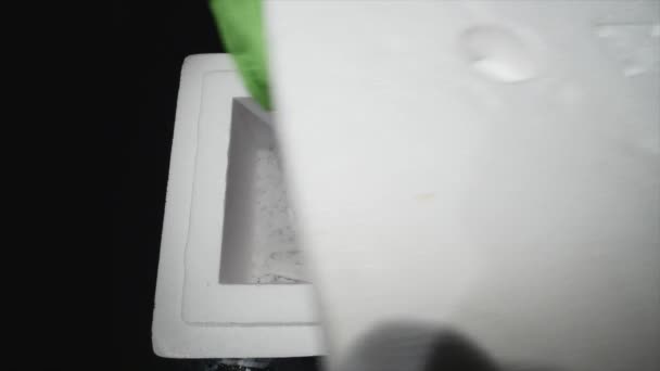 手套手从容器中取心脏移植 — 图库视频影像