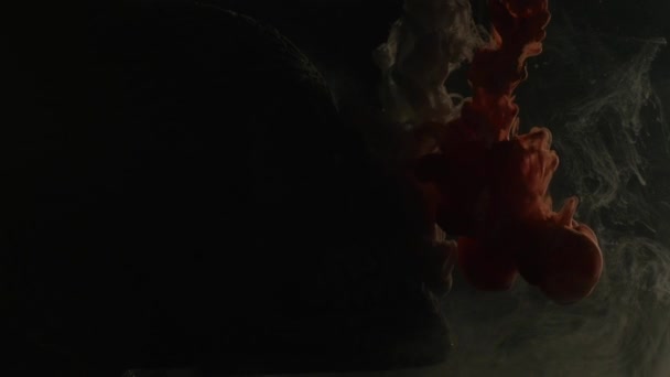Tinta roja y blanca en agua con cráneo sobre fondo negro — Vídeo de stock