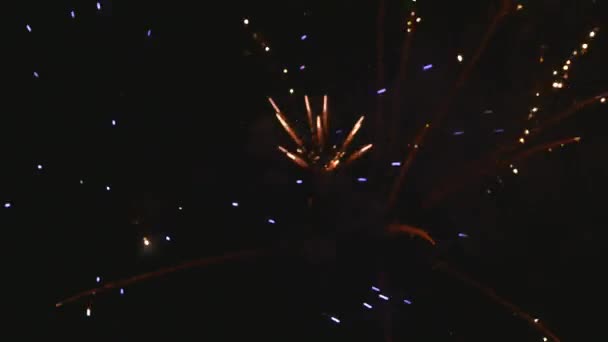 Grote veelkleurige salute in avondlucht — Stockvideo