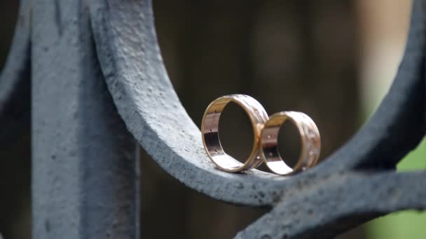 Wedding rings on iron gate — Stock Video