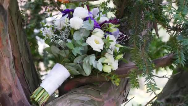 Svatební kytice na stromě, — Stock video