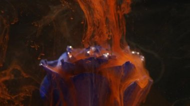 Güzel bir Mavi gül ile karıştırma inanılmaz harika atmosferik atış suda mürekkep