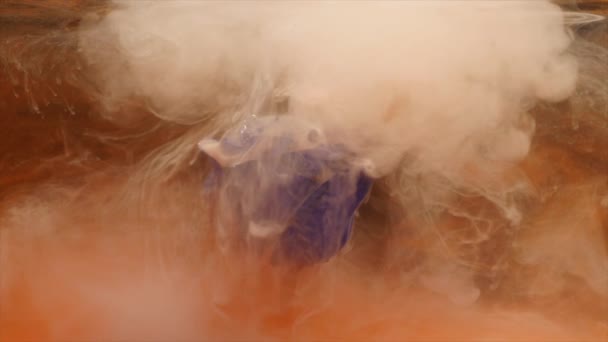 Amazingly wonderful atmospheric shot of a beautiful blue rose mixing with ink in water — Stock Video