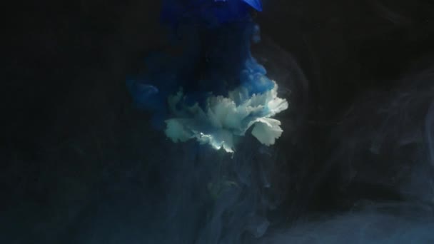 Natura Kwiat i atrament chmury — Wideo stockowe