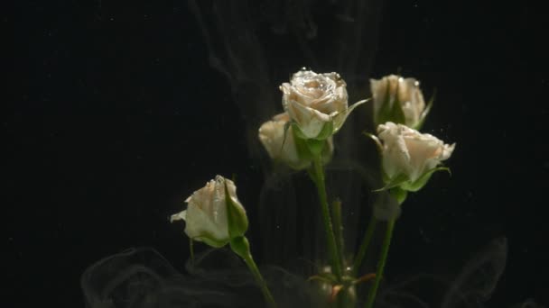 Erstaunlich wunderbare atmosphärische Aufnahme einer schönen Rose, die sich mit Tinte im Wasser vermischt — Stockvideo