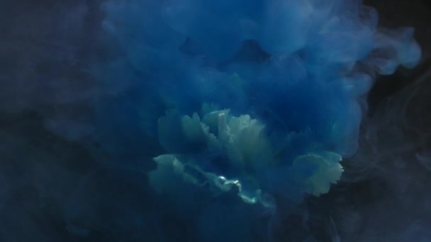 Абстрактна природа з хмарами квітів і чорнила — стокове відео