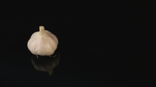 Knoflook teentje spinnen op zwarte achtergrond — Stockvideo