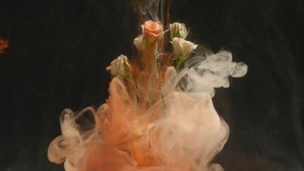 Increíblemente maravilloso tiro atmosférico de una hermosa rosa mezclándose con tinta en agua — Vídeo de stock